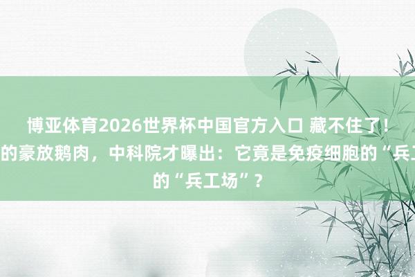 博亚体育2026世界杯中国官方入口 藏不住了！天天吃的豪放鹅肉，中科院才曝出：它竟是免疫细胞的“兵工场”？