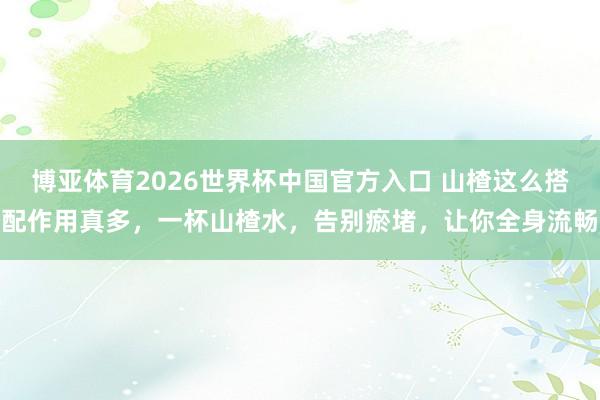 博亚体育2026世界杯中国官方入口 山楂这么搭配作用真多，一杯山楂水，告别瘀堵，让你全身流畅