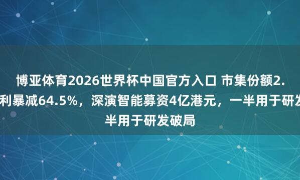 博亚体育2026世界杯中国官方入口 市集份额2.6%净利暴减64.5%,深演智能募资4亿港元,一半用于研发破局