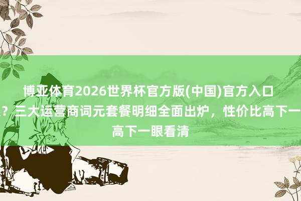 博亚体育2026世界杯官方版(中国)官方入口 如何选?三大运营商词元套餐明细全面出炉,性价比高下一眼看清
