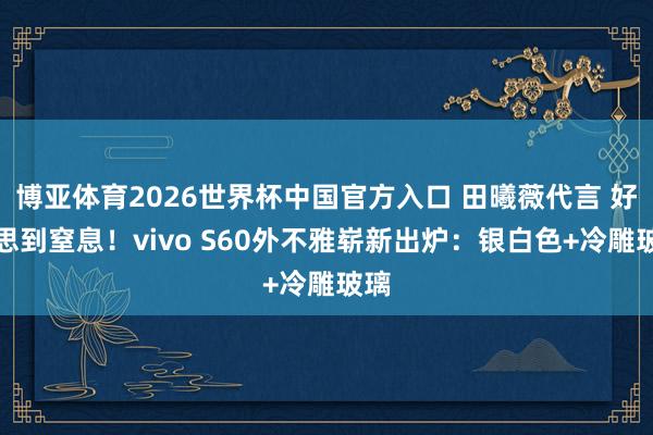 博亚体育2026世界杯中国官方入口 田曦薇代言 好意思到窒息!vivo S60外不雅崭新出炉:银白色+冷雕玻璃