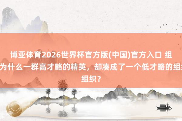 博亚体育2026世界杯官方版(中国)官方入口 组织|为什么一群高才略的精英,却凑成了一个低才略的组织?