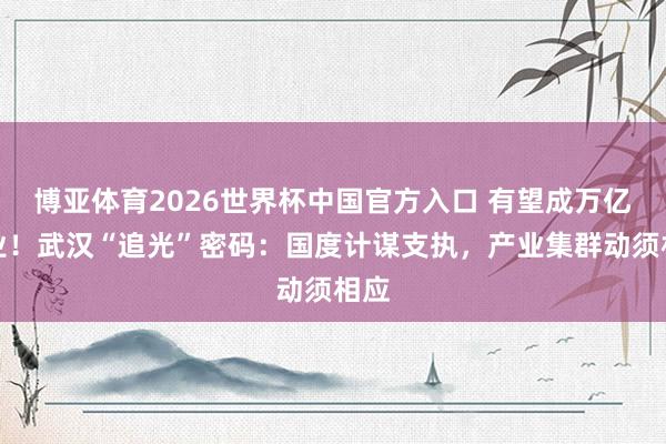 博亚体育2026世界杯中国官方入口 有望成万亿产业!武汉“追光”密码:国度计谋支执,产业集群动须相应