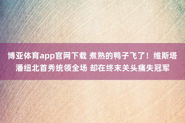 博亚体育app官网下载 煮熟的鸭子飞了!维斯塔潘纽北首秀统领全场 却在终末关头痛失冠军