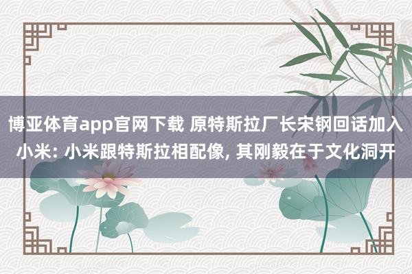 博亚体育app官网下载 原特斯拉厂长宋钢回话加入小米: 小米跟特斯拉相配像, 其刚毅在于文化洞开