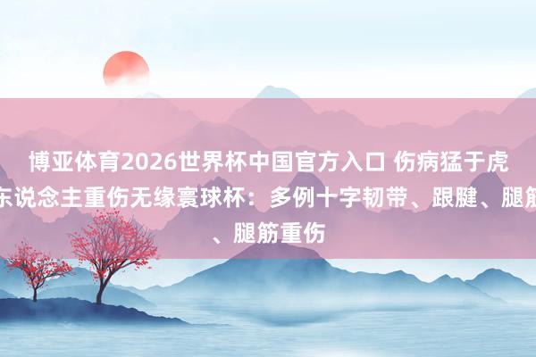博亚体育2026世界杯中国官方入口 伤病猛于虎!多东说念主重伤无缘寰球杯:多例十字韧带、跟腱、腿筋重伤