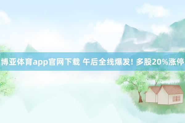 博亚体育app官网下载 午后全线爆发! 多股20%涨停