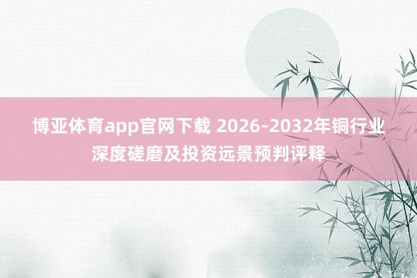 博亚体育app官网下载 2026-2032年铜行业深度磋磨及投资远景预判评释