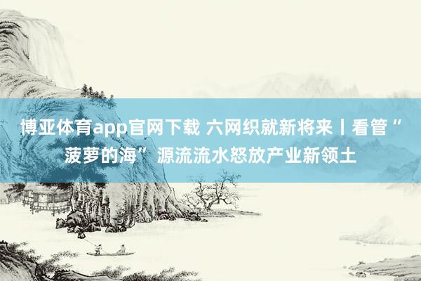 博亚体育app官网下载 六网织就新将来丨看管“菠萝的海” 源流流水怒放产业新领土