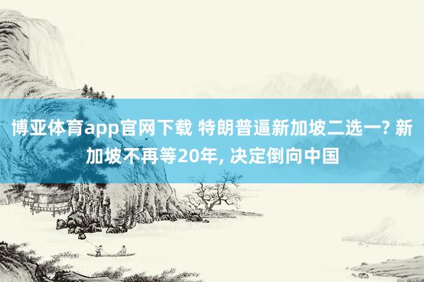 博亚体育app官网下载 特朗普逼新加坡二选一? 新加坡不再等20年， 决定倒向中国