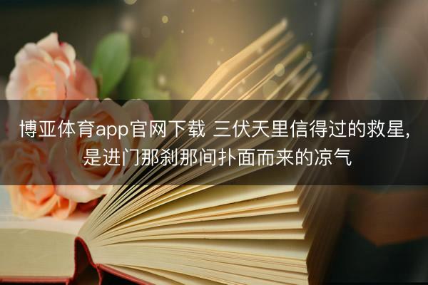 博亚体育app官网下载 三伏天里信得过的救星, 是进门那刹那间扑面而来的凉气